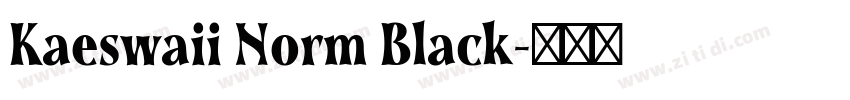 Kaeswaii Norm Black字体转换